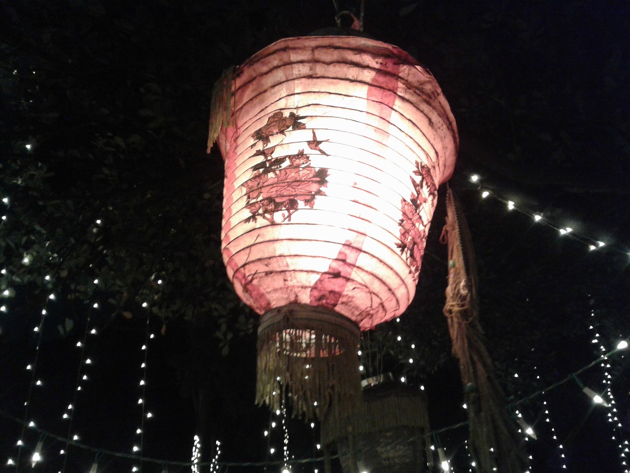 悲歡難渡 第29頁(yè)