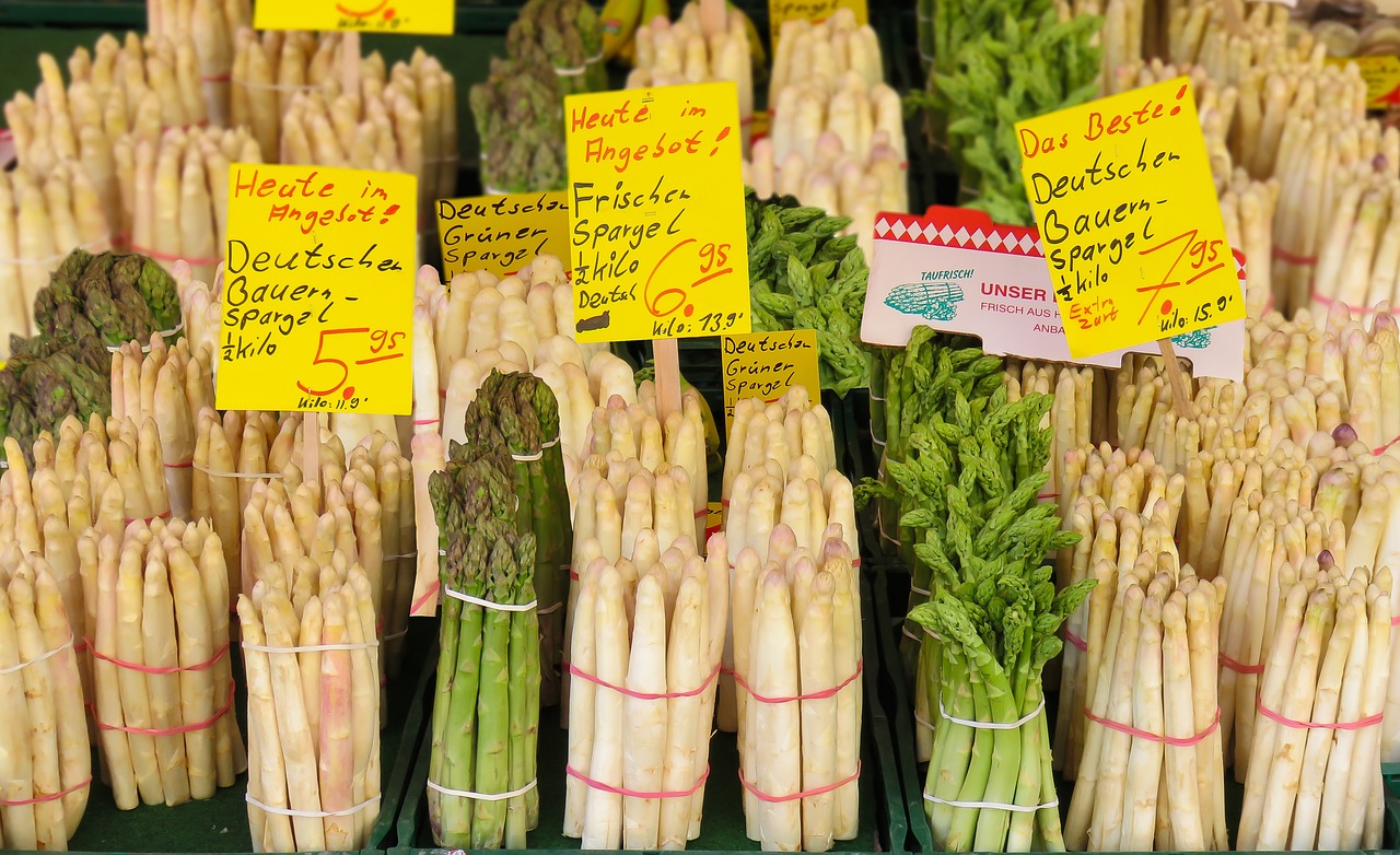 牛寶體育最新官方入口，探索體育新體驗還是觸碰健康紅線？