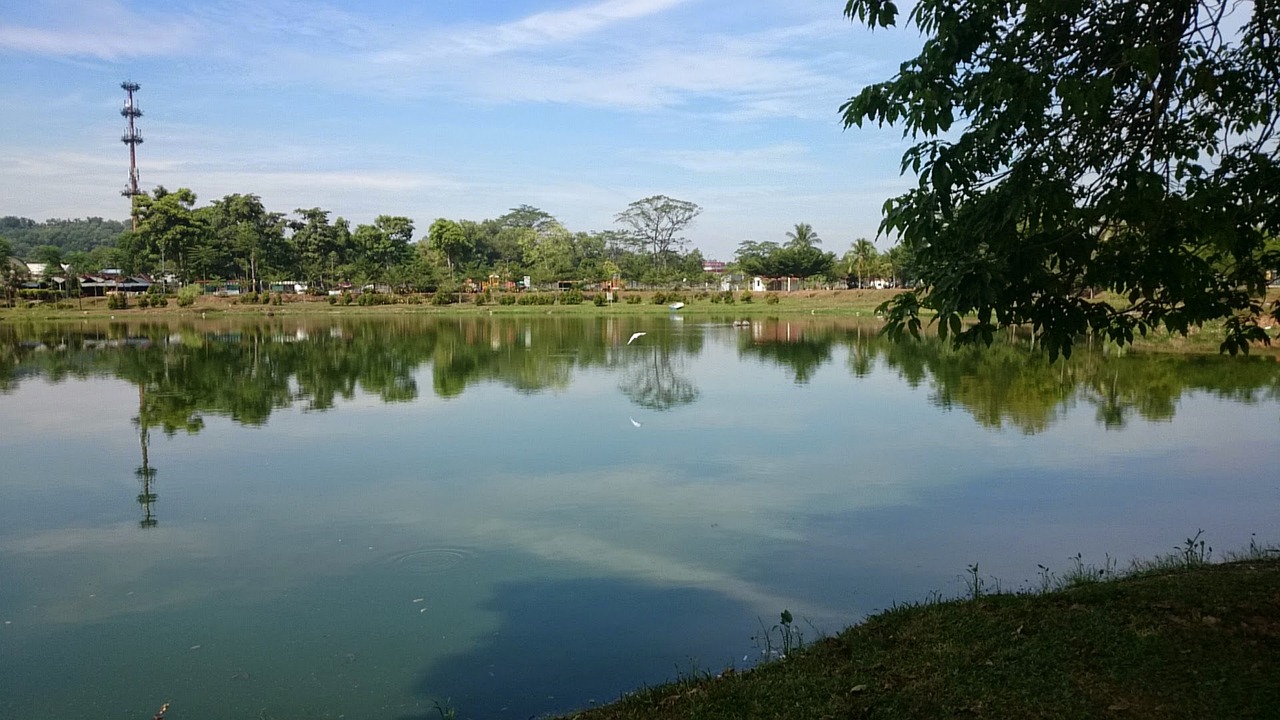 汕頭市鳳凰城最新動態全面解讀