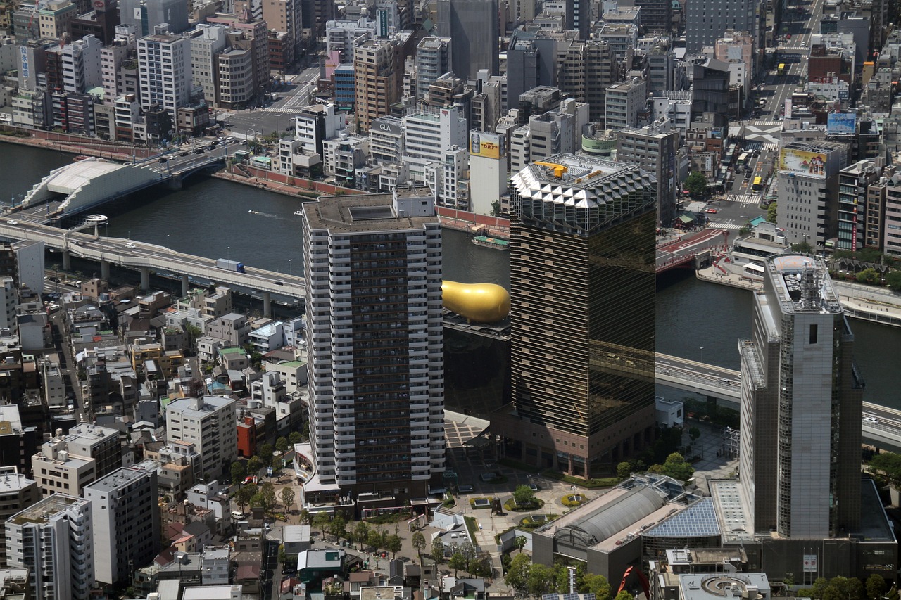 2024年11月 第10頁
